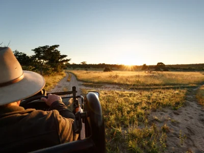 Safari im Sabi-Sands-Wildreservat