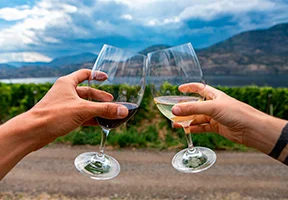 Ein Paar stößt mit Wein im Okanagan-Tal in Kanada an