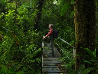 Ein Mann steht auf einer Brücke im costaricanischen Dschungel