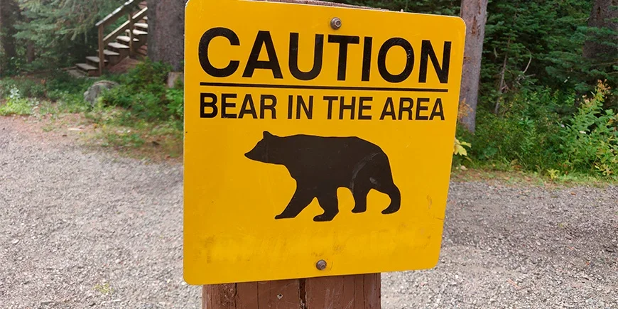 Warnschild, das auf Bären in der Gegend hinweist