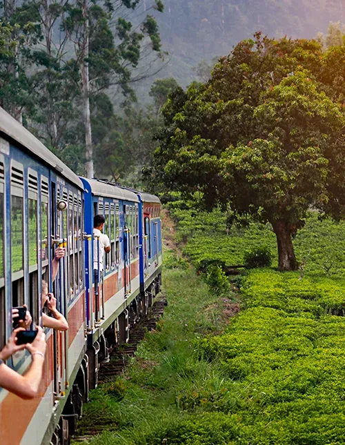 Zugfahrt von Nuwara Eliya nach Kandy durch die Teeplantagen im Hochland Sri Lankas