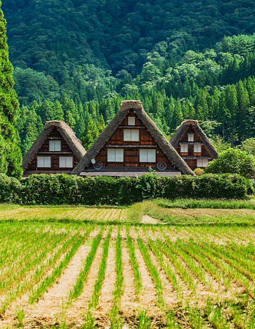 Shirakawa-go im Herbst