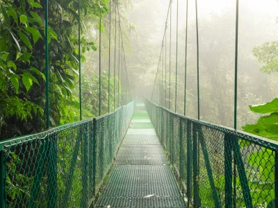 Hängebrücke in Monteverde