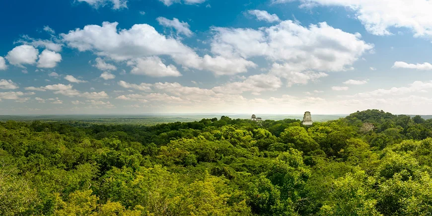 Übersicht über den Nationalpark Tikal mit Ruinen und Regenwald