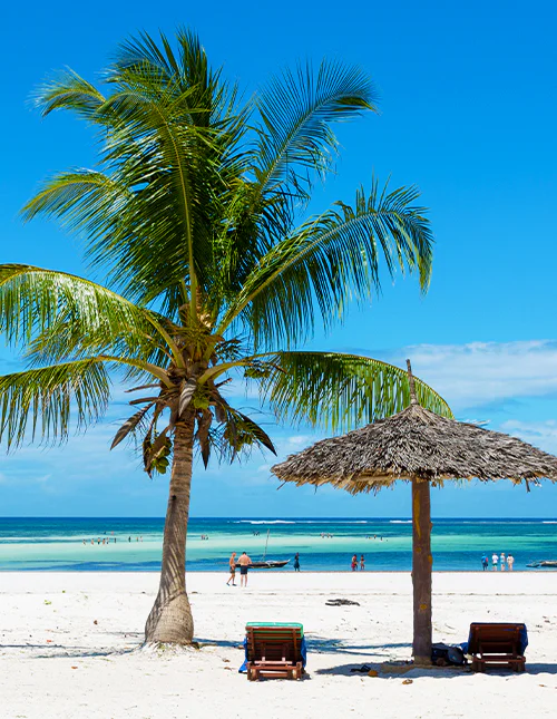 Wunderschöner von Palmen gesäumter weißer Sandstrand bei Mombasa