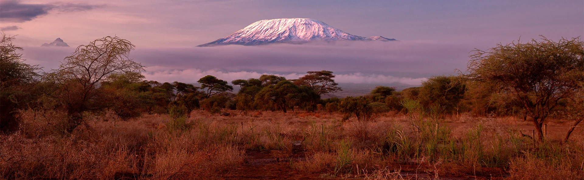 Amboseli-Nationalpark mit Blick auf den schneebedeckten Gipfel des Kilimandscharo in Kenia