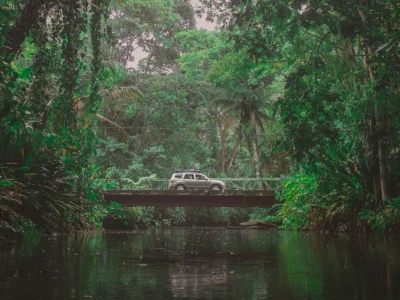 Auto fährt durch den Dschungel in Costa Rica