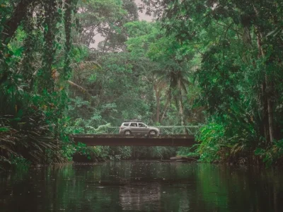 Auto fährt durch den Dschungel in Costa Rica