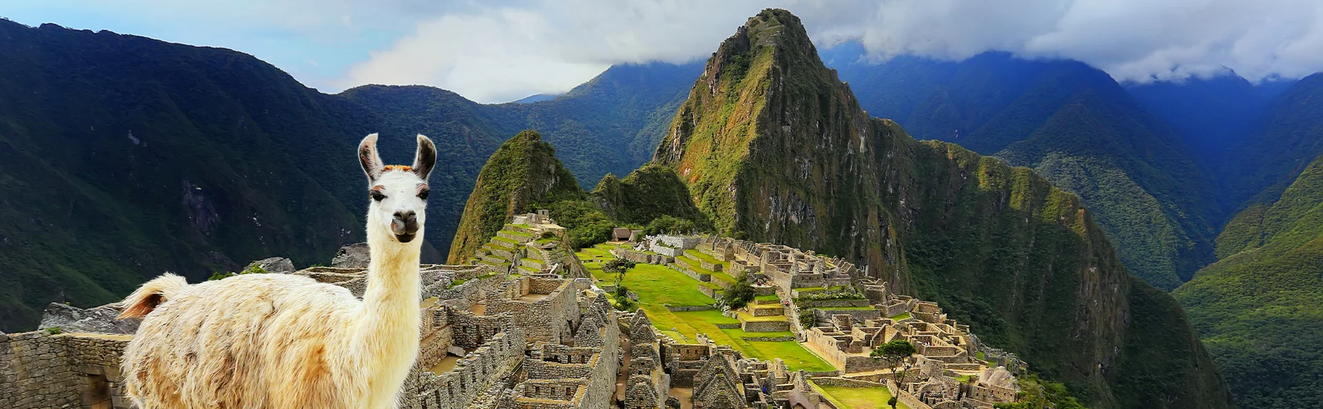Ein Lama vor Machu Picchu und den dramatischen Anden.