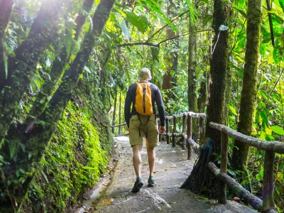 Ein Mann, der in einem der üppig grünen Nationalparks Costa Ricas spaziert