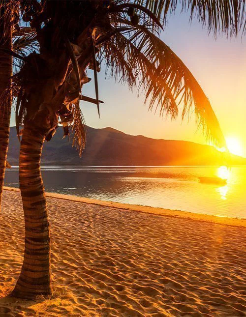 Strand mit Palme bei Sonnenuntergang