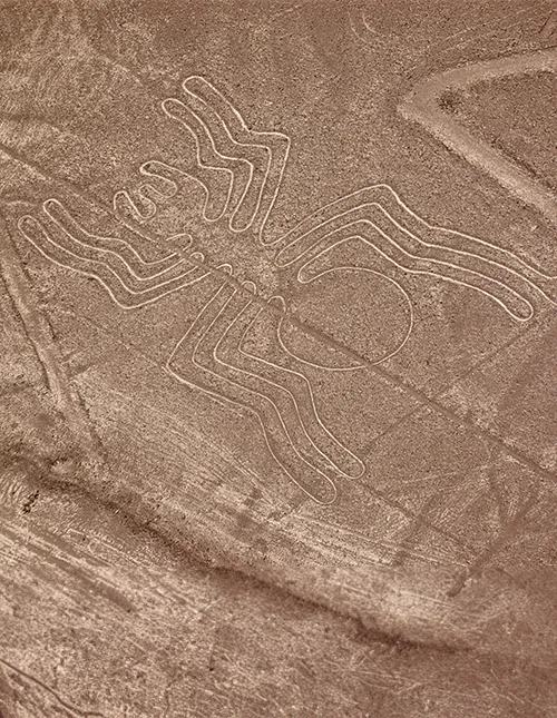 Nazca-Linie in der Wüste in Form einer Spinne