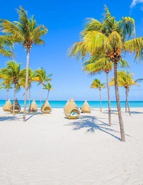 Wunderschöner von Palmen gesäumter Strand in Varadero, Kuba