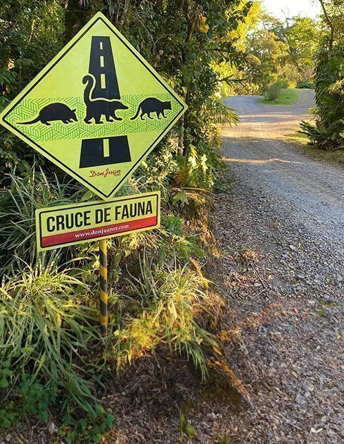 Warnschild für Wildwechsel an einer Schotterstraße in Costa Rica