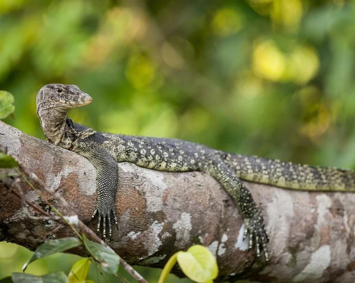 Bild ansehen 14