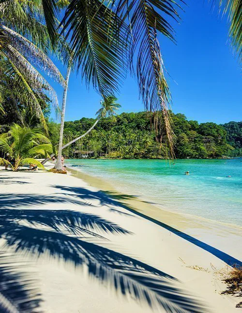 Üppige Palmen wiegen sich sanft über dem weichen Sand von Koh Kood in Thailand