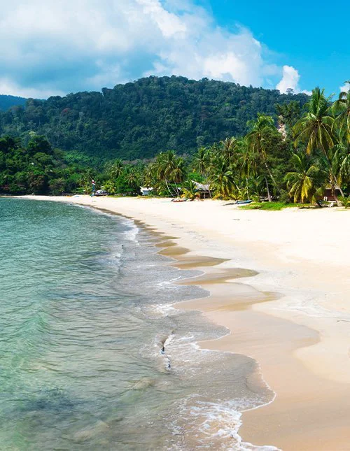 Blick auf einen weißen Sandstrand mit üppigem Dschungel im Hintergrund